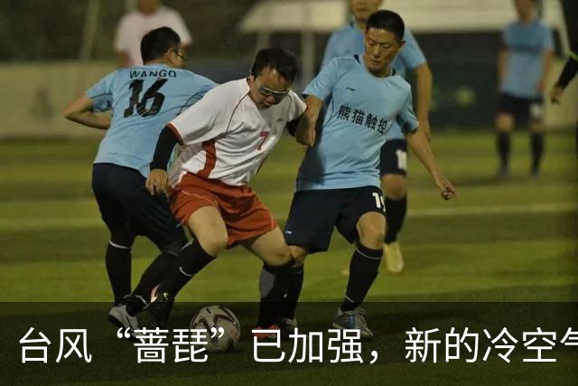 台风“蔷琵”已加强，新的冷空气又来了！茂名最低气温或降至……